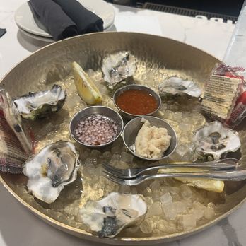 Salt Bar and Table - West Coast Oysters - Bars Near Me - Bradenton Beach, Florida