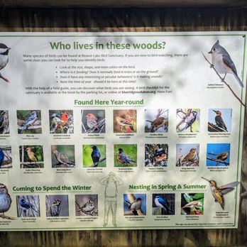 Beaver Lake Bird Sanctuary - Parks Near Me - Asheville, North Carolina Beaver Lake Bird Sanctuary - Parks Near Me - Asheville, North Carolina