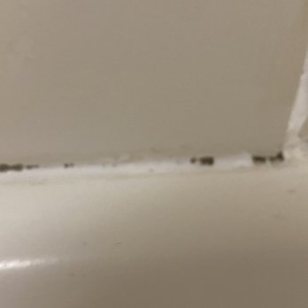 Hampton Inn Elizabethtown - Closer view of the mold growing around the tub - Hotels Near Me - Elizabethtown, Kentucky Hampton Inn Elizabethtown - Closer view of the mold growing around the tub - Hotels Near Me - Elizabethtown, Kentucky