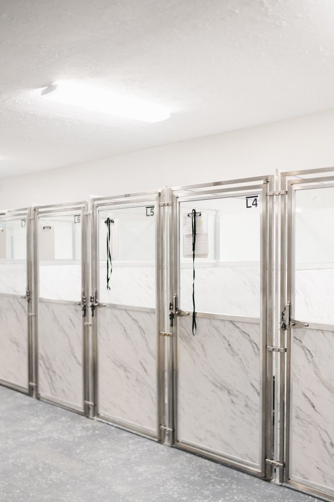 THE RITZ PAWTON Updated October 2024 10 Photos 1531 Edgefield Rd