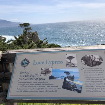 The Lone Cypress - Landmarks & Historical Buildings Near Me - Del Monte Forest, California