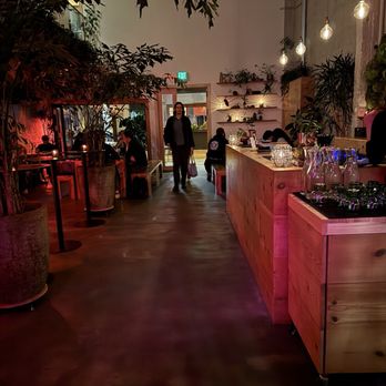 Arcana - Really cool vibes for Sunday night - Nurseries & Gardening Near Me - San Francisco, California