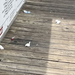 Fred's On the River - Trash along dock.