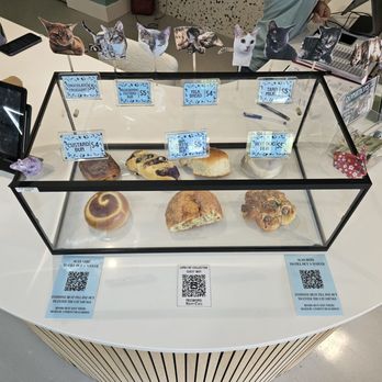 Luna Cat Collective - Pastries for sale. - Pet Adoption Near Me - Ellicott City, Maryland Luna Cat Collective - Pastries for sale. - Pet Adoption Near Me - Ellicott City, Maryland