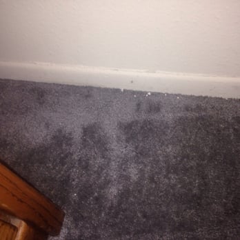 Perfection Maid Easy - Crumbs left in the corners of carpeting. - Home Cleaning Near Me - Irvine, California Perfection Maid Easy - Crumbs left in the corners of carpeting. - Home Cleaning Near Me - Irvine, California