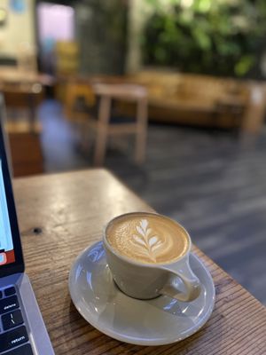11th Hour Coffee by null