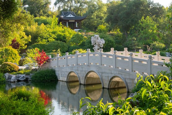 The Huntington Library, Art Museum, and Botanical Gardens by null