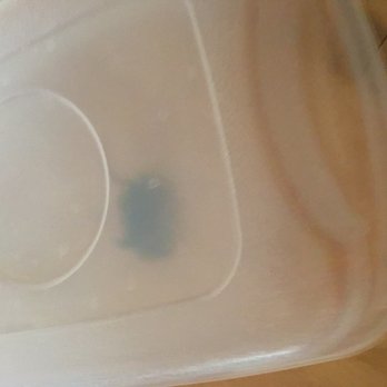Heritage Pest Control - Mouse that I captured for free! GRRRR - Pest Control Near Me - Pompton Plains, New Jersey Heritage Pest Control - Mouse that I captured for free! GRRRR - Pest Control Near Me - Pompton Plains, New Jersey