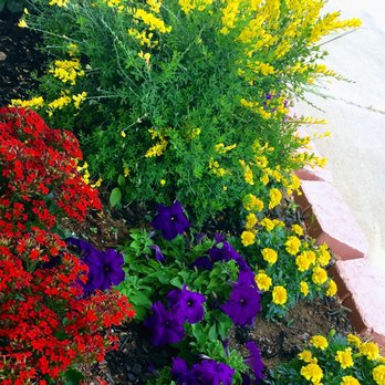 Crossroads Cleaners - Beautiful flowers outside of our shop! - Dry Cleaning Near Me - Greenville, South Carolina Crossroads Cleaners - Beautiful flowers outside of our shop! - Dry Cleaning Near Me - Greenville, South Carolina