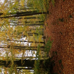 Herbst im Land der tausend Berge