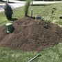 Photo of Dennis Bosley Topsoil