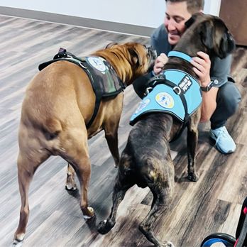 Holistic K9 Coaching - Therapy Dog visit - Pet Training Near Me - Foley, Alabama Holistic K9 Coaching - Therapy Dog visit - Pet Training Near Me - Foley, Alabama