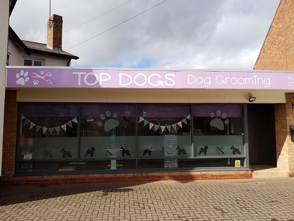 TOP DOGS GROOMING SALON Request an Appointment 41 Clifton St