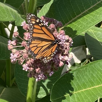 Grant Park - Golf Near Me - South Milwaukee, Wisconsin