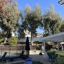 Photo of Elenes Tree Service