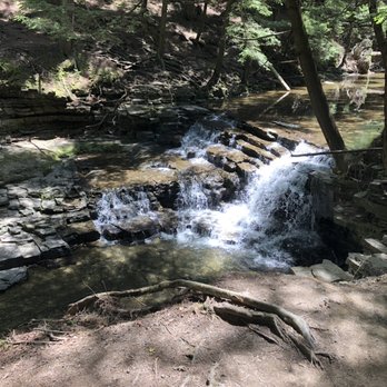 Salt Springs State Park - Crik - Parks Near Me - Montrose, Pennsylvania Salt Springs State Park - Crik - Parks Near Me - Montrose, Pennsylvania