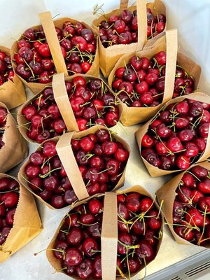 Clark Family Orchards by null