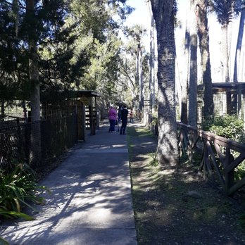 Jungle Adventures - Tours Near Me - Christmas, Florida Jungle Adventures - Tours Near Me - Christmas, Florida