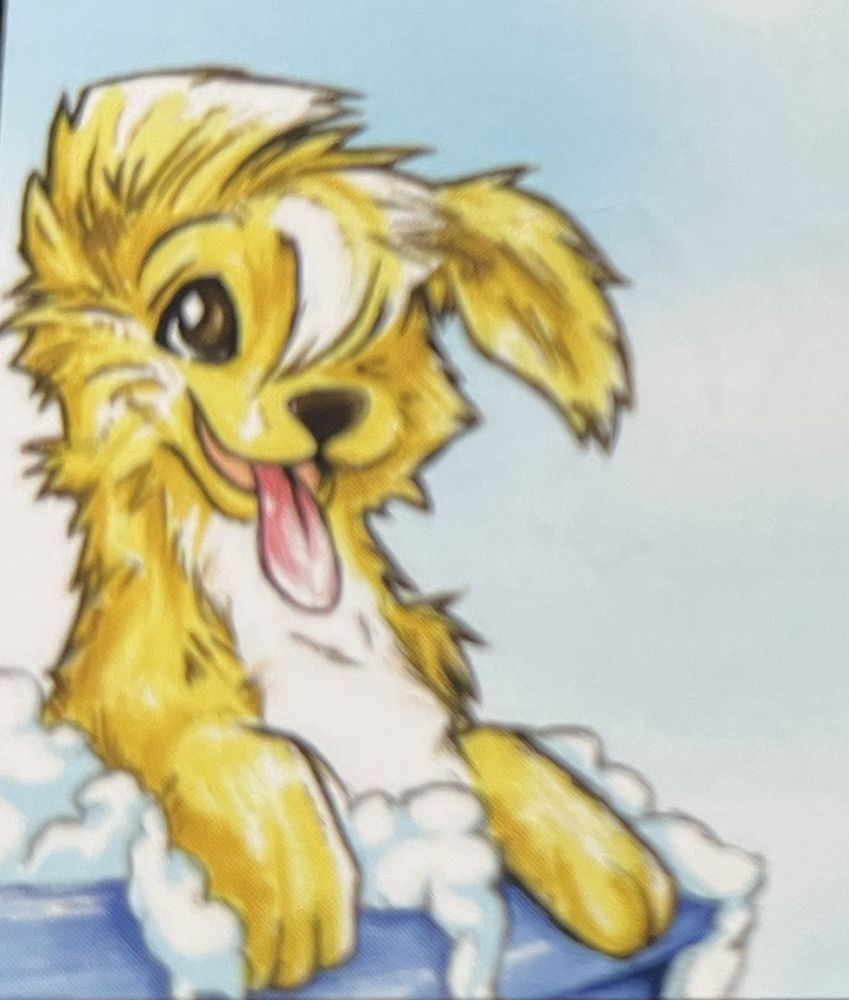 Best Dog Groomers Yuma Az at Kurt Hutchings blog