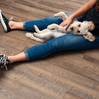 Refloor - Grand Rapids - a woman sitting on the floor with her dog - Flooring Near Me - Grand Rapids, Michigan Refloor - Grand Rapids - a woman sitting on the floor with her dog - Flooring Near Me - Grand Rapids, Michigan