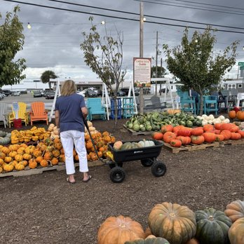Biggers Market - It's pumpkin time! 10-03-2025 - Farmers Market Near Me - Wilmington, North Carolina Biggers Market - It's pumpkin time! 10-03-2025 - Farmers Market Near Me - Wilmington, North Carolina