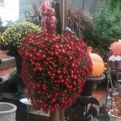 Lambert's Nurseries and Garden Center