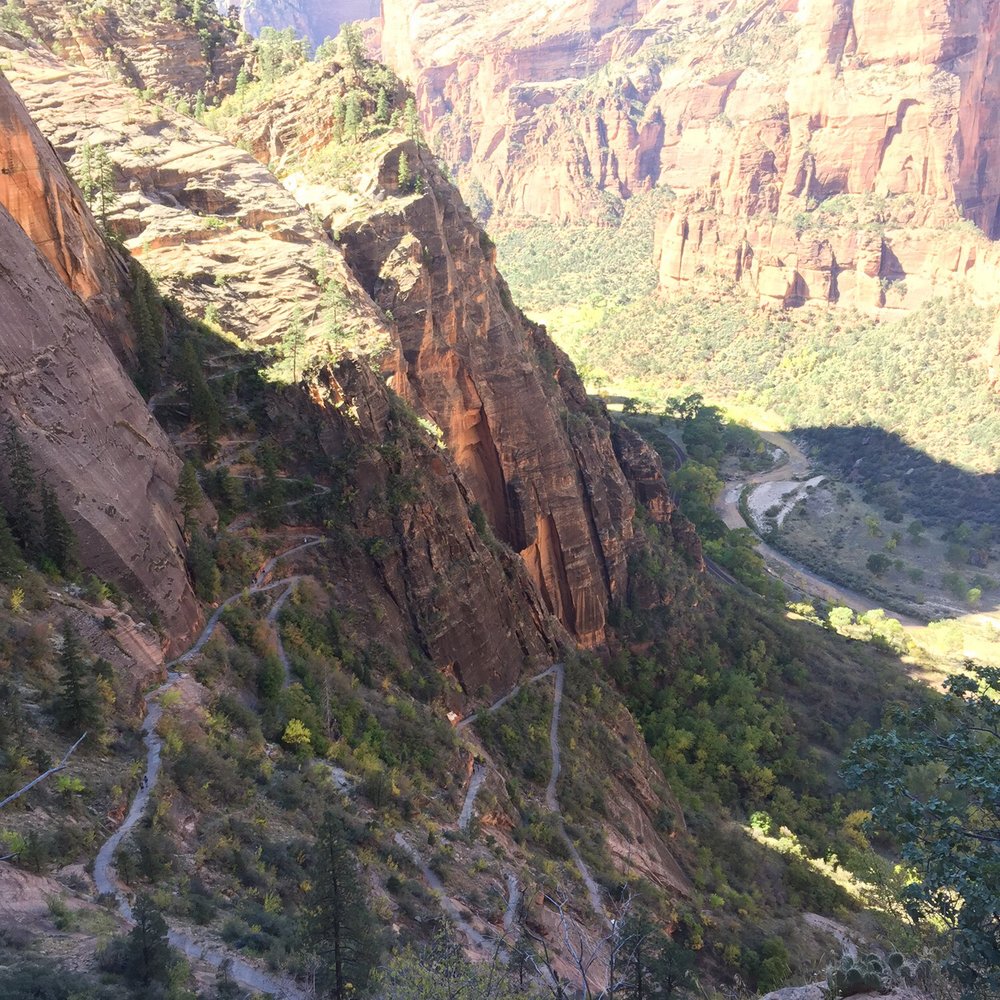 Observation Point - Hiking Near Me - Springdale, Utah Observation Point - Hiking Near Me - Springdale, Utah