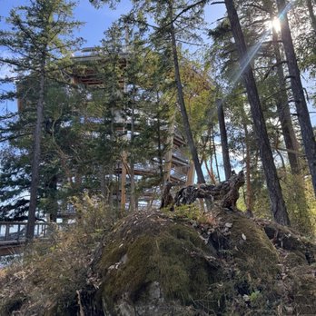 Malahat Skywalk - Historical Tours Near Me - Malahat, British Columbia Malahat Skywalk - Historical Tours Near Me - Malahat, British Columbia
