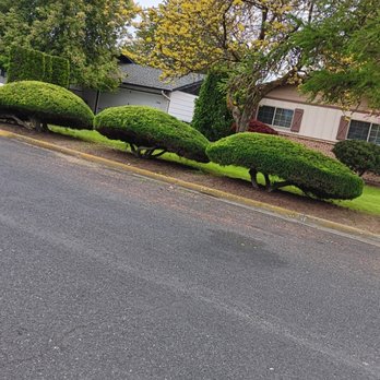 Carrillo's Landscaping Services - Snow Removal Near Me - Othello, Washington Carrillo's Landscaping Services - Snow Removal Near Me - Othello, Washington