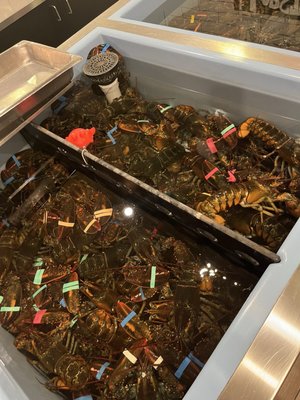 Lobster Trap Restaurant & Fish Market by null