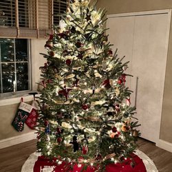 The Christmas Tree Stand