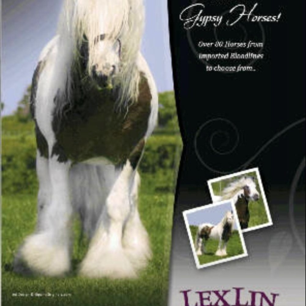 LexLin Ranch - Horseback Riding Near Me - Rockwood, Tennessee LexLin Ranch - Horseback Riding Near Me - Rockwood, Tennessee