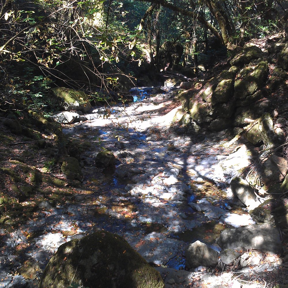Cataract Falls Trail - Hiking Near Me Cataract Falls Trail - Hiking Near Me