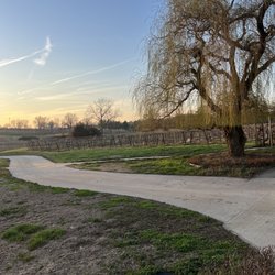 Red Fox Winery & Vineyards - Vineyard