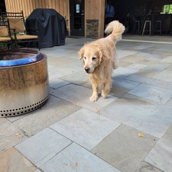Boyne Valley Vineyards - The welcoming committee - Wine Tasting Room Near Me - Boyne Falls, Michigan Boyne Valley Vineyards - The welcoming committee - Wine Tasting Room Near Me - Boyne Falls, Michigan