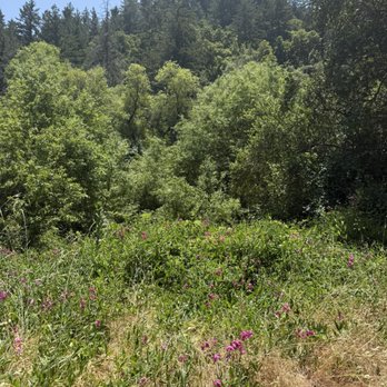 Sanborn County Park - Parks Near Me - Saratoga, California Sanborn County Park - Parks Near Me - Saratoga, California