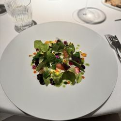 Martin Berasategui - Salad