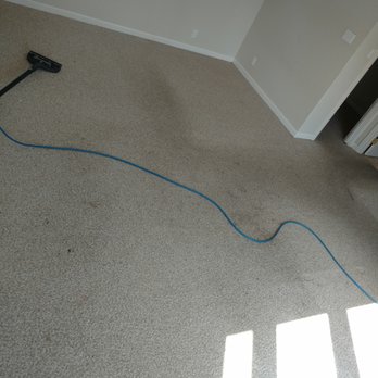 Ultimate Carpet Cleaners - Room Before - Carpet Cleaning Near Me - Hayward, California Ultimate Carpet Cleaners - Room Before - Carpet Cleaning Near Me - Hayward, California