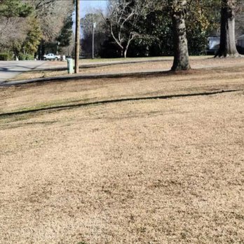 By The Yard Lawn Care - Lawn Services Near Me By The Yard Lawn Care - Lawn Services Near Me
