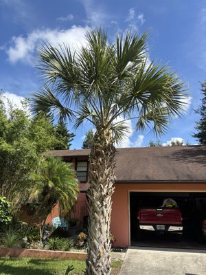 Best Plant And Tree Stores in Lakeland Florida: Top Picks Revealed 2 Best Plant And Tree Stores in Lakeland Florida: Top Picks Revealed