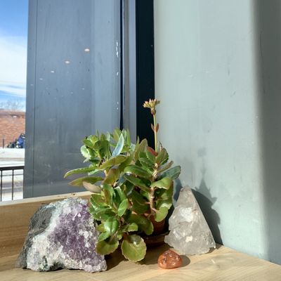 Pablo's Coffee - East Colfax by null