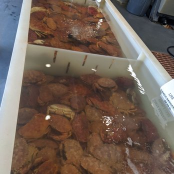 Quality Seafood - Crab cuzzi - Seafood Markets Near Me - Redondo Beach, California