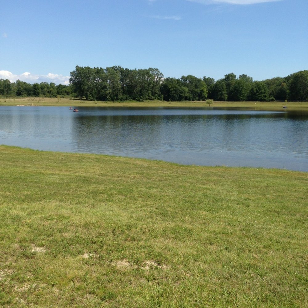 The pond with paddle boats to rent. The pond with paddle boats to rent.