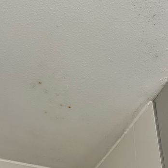 Holiday Inn Express Hope - Spots on ceiling - Hotels Near Me - Hope, Arkansas Holiday Inn Express Hope - Spots on ceiling - Hotels Near Me - Hope, Arkansas