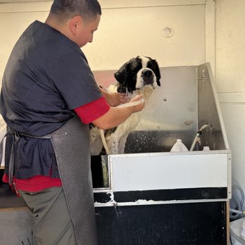 Freddys Mobile Grooming - Pet Groomers Near Me Freddys Mobile Grooming - Pet Groomers Near Me