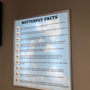 Butterfly Wonderland - Botanical Gardens Near Me - Scottsdale, Arizona