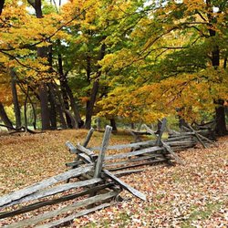 Jockey Hollow Dentistry - Jockey Hollow Dentistry 5 Cold Hill Road, #8 Mendham, NJ 07945 (973) 658-5287