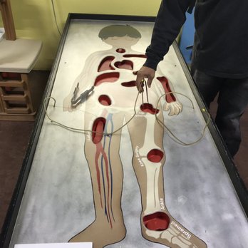 Fresno Discovery Center - Life sized operation - Educational Services Near Me - Fresno, California