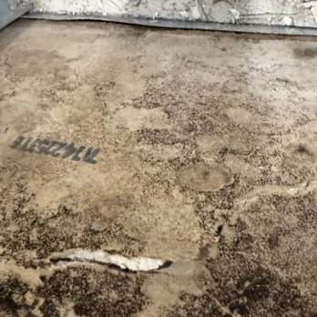 Royal Mold Specialist - Mold - Damage Restoration Near Me - Hollywood, Florida Royal Mold Specialist - Mold - Damage Restoration Near Me - Hollywood, Florida