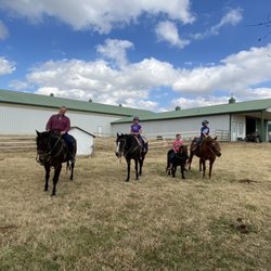 Ward Performance Horses - Lesson group